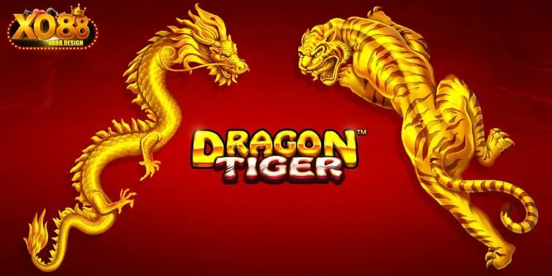 Cách chơi Dragon Tiger cho người mới hiệu quả